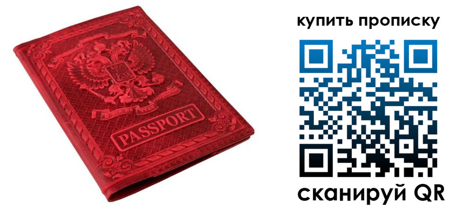 прописка в Лыткарино
